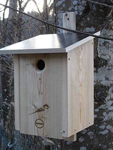 Premium Natur Lärchenholz Nistkasten unbehandelt nach Nabu Kohlmeise 32mm Einflugloch, massives Vogelhaus Nisthilfe wetterfest 18mm stark verschraubt, mit Befestigungsmaterial