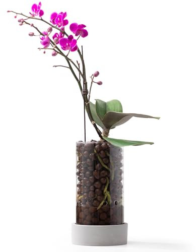Fayoula Glass Orchid Pot, 4 inch Clear Orchid Pot with Holes for Repotting, Visual, Well-Ventilated, Providing a Stable and Healthy Growth Environment for Plants