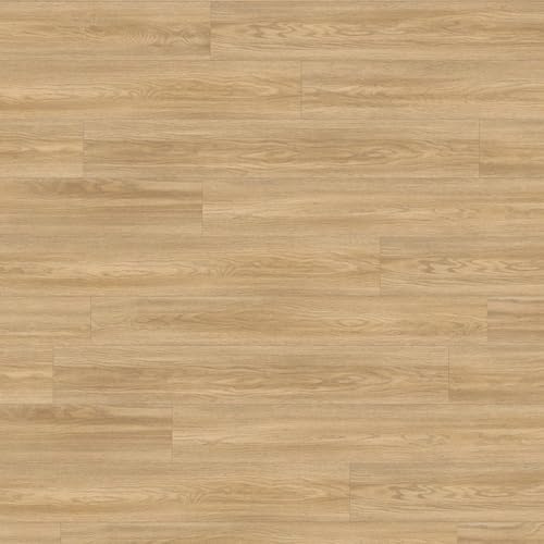 Pro 8MM EPL179 Natural Soria Oak Neutral Modern Wood Effect Laminate Flooring For Home (All Rooms) except Bath & Wet Areas, 8mm Laminate Flooring