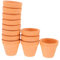CIMAXIC 12 Pièces Pot Succulent Pot en Argile Pot en Terre Cuite Pot d'argile D'intérieur Mini-Pots De Plantes Jardinière en Terre Cuite Mini Pot en Argile Mini Pots pour Plantes Orange
