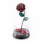 Forging Art Bcn® Eisen Schmiede ewige Rose mit Benutzerdefinierte Gravur Die Schöne und das Biest Rose - Geschenk zum Muttertag, Valentinstag, Hochzeitstag, Eiserne Hochzeit (Mit Gravur)