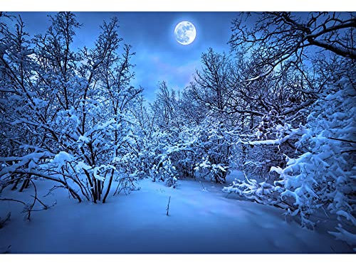 Aoihrraan 3,5x2,5m Hiver Forêt Paysage Photographie Toile De Fond Bois Neige Arbre Pleine Lune Nuit Nature Paysage Fond Noël Nouvel An Vacances Famille Fête Extérieur Portrait Photo Studio Accessoires