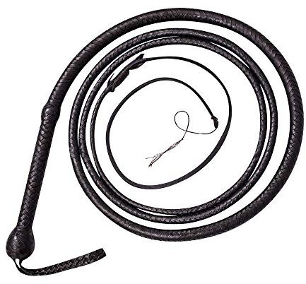 Fouet équestre en cuir de vache véritable de 04 à 5,8 m, 16 plaques, noir (0,9 m)
