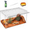 KAKOOTI Reptile Terrarium Kit, 18X8X9.5inch Reptile Zuchtbox, magnetisches Acrylgehäuse, für Schlange, Tarantula, Einsiedlerkrabbe, springende Spinne, Leguan, Leopard Gecko, Bartdrache, Insekt,