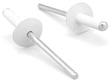 NOLDAR | Rivets pop en aluminium à tête large. 4,8 x 20 mm. Tête de 16 mm. Couleur BLANC (100 pièces)