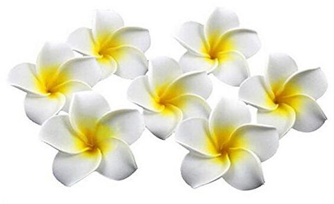 12 Stück Frauen Mädchen 2,4 Zoll / 6 cm Hawaii Frangipani Schaumstoff Blume Haar Clips für Hochzeit Party Beach Dekoration Haarspange Hawaii Haarklammer (Gelb)