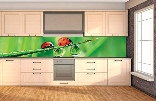 Dimex Küchenrückwand Folie selbstklebend MARIENKÄFER | Klebefolie - Dekofolie - Spritzschutz für Küche | Made in EU - 350 cm x 60 cm
