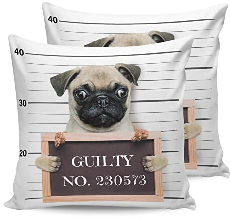 Kissenbezüge 50,8 x 50,8 cm, 2er-Set Guilty Dog Mops mit Zahlentafel im Gefängnis, quadratisch, Dekokissen, Tiver Fall, Sofa/Bett, Kissenbezüge, Reißverschluss, Kissenschutz für Schlafzimmer, Wo