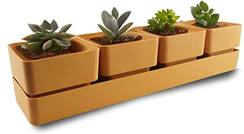 ECOMACETAS FLOWERPOT STORE Maceta para Suculentas con 4 recipientes, 6 Colores Distintos, con Drenaje y Bandeja Incluido. (Amarillo Curry, 1 und)