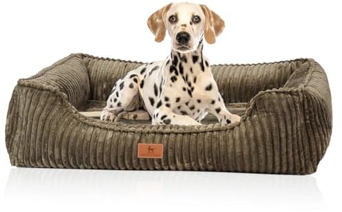 Knuffelwuff orthopädisches Hundebett aus Breitcord Sedona XXL 120 x 85cm Khaki | Abnehmbarer Bezug | waschbar | für große, mittelgroße und kleine Hunde
