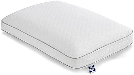 Sealy Essentials Memory-Foam-Bettkissen zur Druckentlastung, adaptives Kissen aus Memory-Schaum mit waschbarem Strickbezug, Standard, 61 x 40,6 x 12,7 cm, Weiß