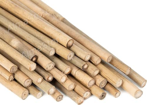 Canne di Bambu' h.300cm Ø 28/30 mm 10 Pezzi - Resistenti Naturali - Per Sostegno Ortaggi e Piante o Arredamento di design - Ideali per Pomodori e Rampicanti - Canna di Bamboo per Orto