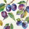 20 Servietten Obst Hauseigene Pflaumen als Tischdeko. Papierservietten mit Motiv. Auch für Decoupage und Serviettentechnik 33x33cm