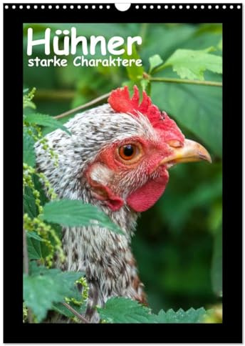 Hühner - starke Charaktere (Wandkalender 2026 DIN A3 hoch), CALVENDO Monatskalender: Hühnerportraits (CALVENDO Tiere)