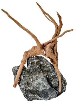 AquaOne Aquarium Moorkienwurzel auf Seiryu Stein Aquariumdekoration Wasserpflanze Wurzel Gestein Mini Landschaft Aquascaping pflegeleicht