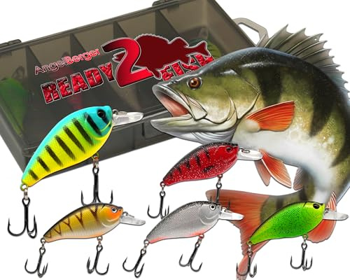 Wild Devil Baits Ready2Fish Wobbler Set Fat Crank in Box Wobbler Hardbaits für Hecht Zander Barsch