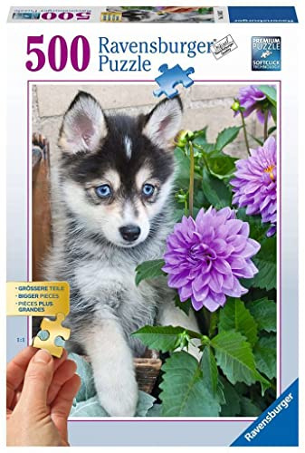Ravensburger Puzzle 13682 - Putziger Husky - 500 Teile Puzzle für Erwachsene und Kinder ab 10 Jahren