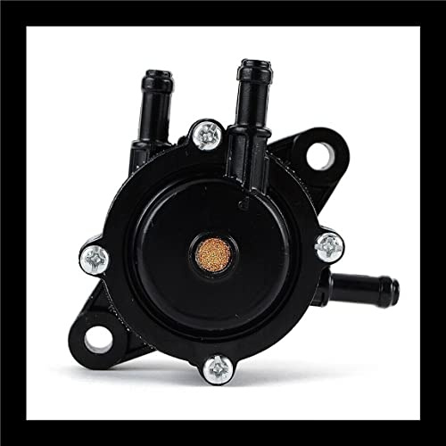 TERAM LOISIRS Pompe à Essence Compatible pour Kawasaki FH430V Neuf France