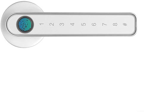 QOXEZY Serrure intelligente à empreintes digitales, poignée de porte avec clavier électronique, mot de passe, serrure intelligente d'identification biométrique, clé d'empreintes digitales pour maison,