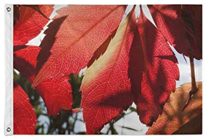 FANTAZIO Bandera de jardín de otoño grande roja bandera de dejar