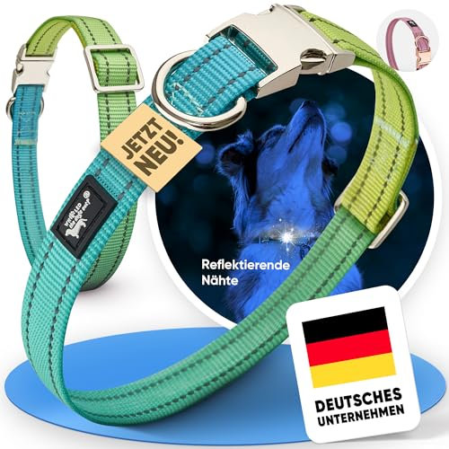 Leuchthalsband Hund – Wasserdicht mit Reflektierendem Metallverschluss – 33–55 cm(Mittel Hund)-Verstellbares Halsband aus Nylon und Fluoreszierender Naht Buntes Hundehalsband
