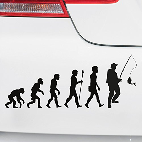 Motoking Autoaufkleber - Lustige Sprüche & Motive für Ihr Auto - Evolution Angeln - 25 x 10,2 cm - Weiß Seidenmatt