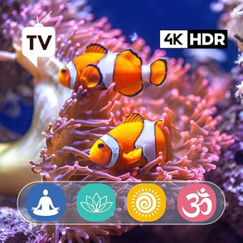 Coral Serenity 4K: Atemberaubende Aquarium-Oase mit wunderschönen Korallenriff-Fischen - Entspannende Schlaf-Meditationsmusik für Fire Tablets & Fire TV - NO ADS