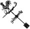 FONDOTIN Girouette Rooster Indicateur De Vent Décoratif pour Jardin Et Toit pour Fermiers Et Jardiniers