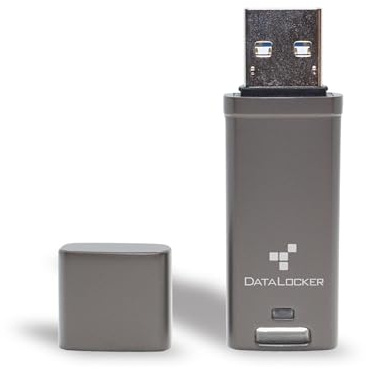 DataLocker DL GO Encrypted USB Flash Drive | USB 3.2 Gen 1 | AES 256-bit XTS | FIPS 197 | IP68 Rugged | TAA Compliant - 4GB