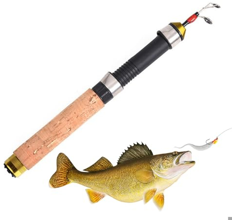 Tyinerc Eisangelruten | Tragbare Wurfrute – 60 cm Stift zum Eisangeln Winter – für Salzwasser, Süßwasser, See, Kajak, Boot, Goldküste, Barsch, Weißfisch, Angler