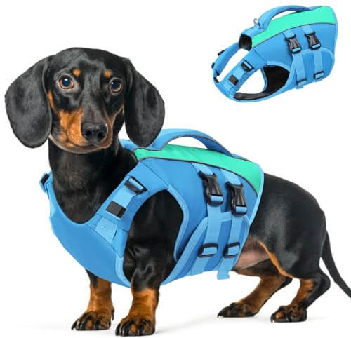 Queenmore Schwimmweste Hund Xs, Non Stop Hunde Schwimmweste, Verstellbar Hundeschwimmweste,Rettungsweste Mit Griff, Schwimmweste Chihuahua, Bootfahren Surfen Kajak, Blau, XS