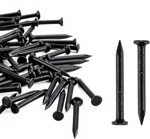 240 Pcs Masonry Nails for Brick Wall, 25mm Picture Nails for WallsNails | For Wood Nail Set, Black Flat Head Concrete Nailsset for Hanging Pictures Carpentry Woodworking Hardware Nailsset