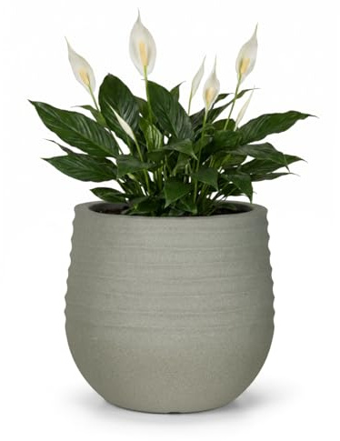 Mazovia Intérieur et Extérieur Pot de Fleurs Terrasse Ø40cm Rond Gris Uni | Intérieur et Extérieur Pot de Fleurs pour Salon Salle à Manger Résistant aux Intempéries Éco Recyclé Robuste Minimaliste