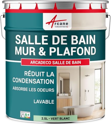 Peinture salle de bain, mur et plafond, condensation - 2.5 L Vert Blanc - RAL 6019 - ARCANE INDUSTRIES