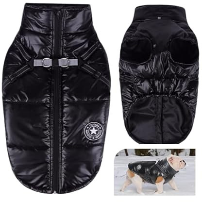 Hundemantel für Kleine Hunde, Wasserdicht Hundejacke Winter, Wintermantel mit Geschirr und Reflektor(Schwarz M)