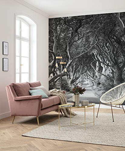 Komar Vlies Fototapete FOREVENUE | Tapete, XXL, Dekoration, Natur, Landschaft, Schlafzimmer, Wohnzimmer, Büro, Flur | Größe 250 x 280 cm (Breite x Höhe) | SHX5-033