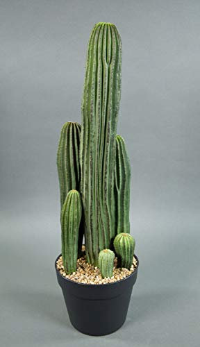 Seidenblumen Roß Säulenkaktus 62cm im Topf DP Kunstpflanzen künstliche Kakteen Pflanzen künstlicher Kaktus