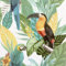 Full Roll Toucan Jungle Wallpaper Tropical Palm Birds Green Textured Vinyl