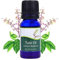 SVATV TULSI Ätherisches Öl Aromatherapie in therapeutischer Qualität Duftöl für Diffusor Yoga Massage & DIY Körperpflege 10 ml Basilikum