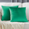 Kissenbezug Samt Kissenbezüge 45x45cm Dekorative Kissenhülle Zierkissenbezüge für Sofa Wohnzimmer Schlafzimmer und Auto 2er Set Türkis