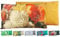 JACK Outdoor Lounge Kissen 30x50cm Motiv Dekokissen inkl. Füllung Wasserfest Sitzkissen Garten Stuhl, Farbe:Wildblumen