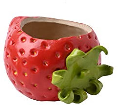 CINGHI LUSSO Maceta para suculentas, bonita maceta con forma de fresa, planta verde, suculenta, maceta especial pintada a mano, decoración del hogar, S/L