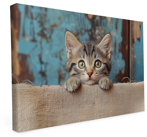 druck.de Keilrahmen - Katzen und Hunde Motive - Wandbild auf Künstler Leinwand – Hochwertiger Kunstdruck - 2cm Holzrahmen mit 280g Canvas - Miau, 60x40 cm - Quer