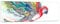 Panorama Bilder auf Glas 160x50cm Glasbild Parrot Flügel Federn Natur Groß XXL Wanddeko Bild im Glas Schlafzimmer Küche Wandbilder Dekoration Wohnzimmer Modern Wand Kunstdruck Art GAB160x50-3008