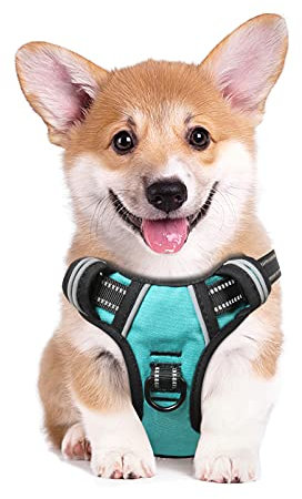 HEELE Hundegeschirr, No-Pull Brustgeschirr für Mittelgroße Hunde, Weich Atmungsaktiv Einstellbar Reflektierend Geschirr Anti Zug mit Gepolstert Griff, Türkis, M