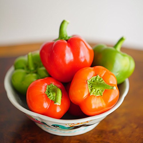 300pcs Chili Pie Paprika Samen Paprika Glocke Gemüsesamen-Hausgarten Bonsai Pflanze DIY # W43