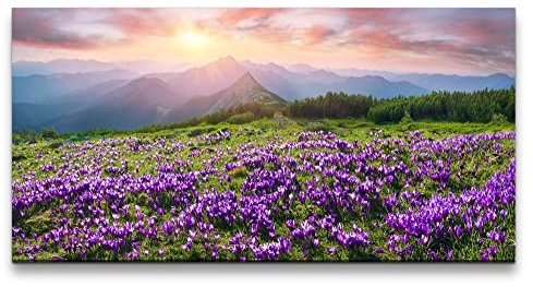 Paul Sinus Leinwandbild 120x60cm Alpen Berge Wildblumen Landschaft Natur Wunderschön