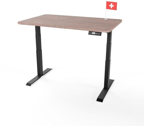 Standable Kids Kinderschreibtisch Höhenverstellbar 120 x 60 cm I Office-Desk mit 3 Speicherstufen I elektrischer Kinder-Schreibtisch höheneinstellbar 50-95 cm I ergonomischer Büro-Tisch