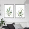 AWKFHF Minimalistisches Botanisches Eukalyptus Bilder,Leinwandbild Poster Kunstdruck Wohnzimmer Deko Schlafzimmer Bilder Wanddekoration (2X40X50CM,ohne Rahmen)