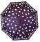 Goodforgoods Regenschirm mit Farbwechsel, Schmetterlingsmuster, automatischer Öffnung, 98 cm Durchmesser, winddicht, violett, mehrfarbig, für Damen, Herren, Teenager, Reisen
